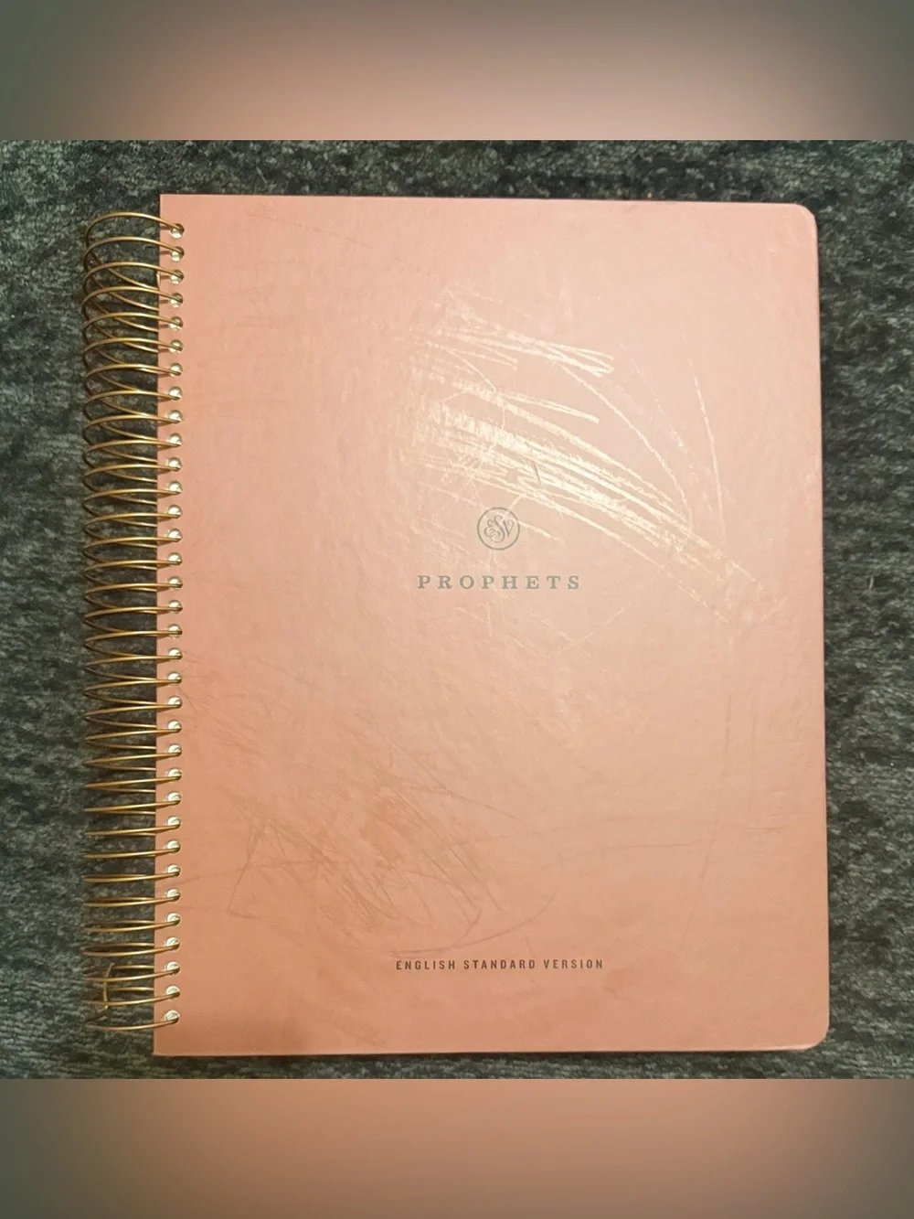ESV Spiral-Bound Journaling Bible (Hardcover): Prophets